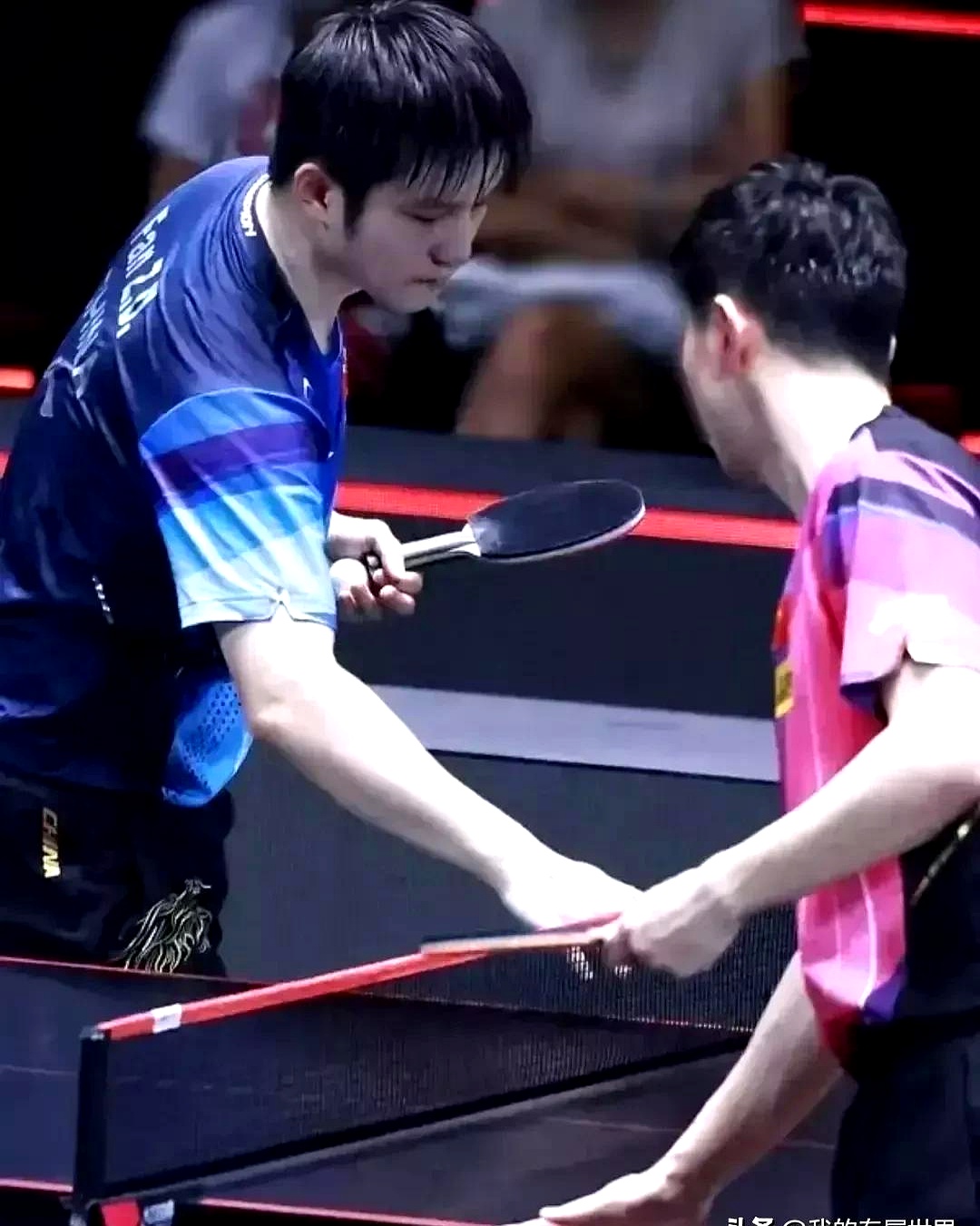 关于日本乒乓球队横扫瑞典乒乓球队，马龙高光表现的信息