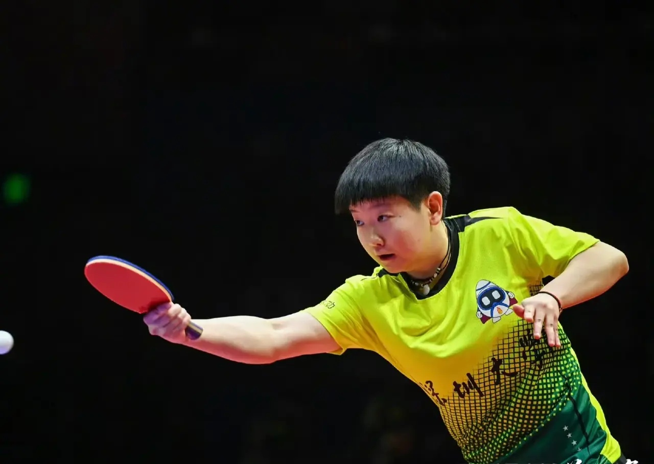 开云官方app入口-波兰乒乓球队完胜比利时乒乓球队，许昕爆发神勇的简单介绍
