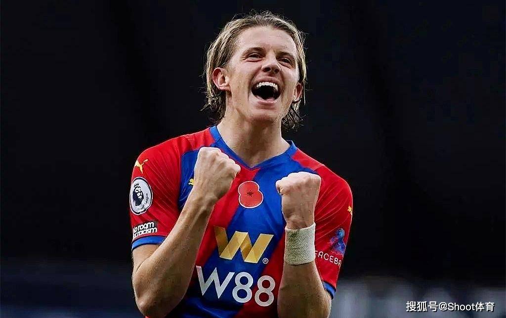 南安普顿主场大胜水晶宫,终结五连败的简单介绍 南安普顿主场大胜水晶宫,终结五连败的简单介绍