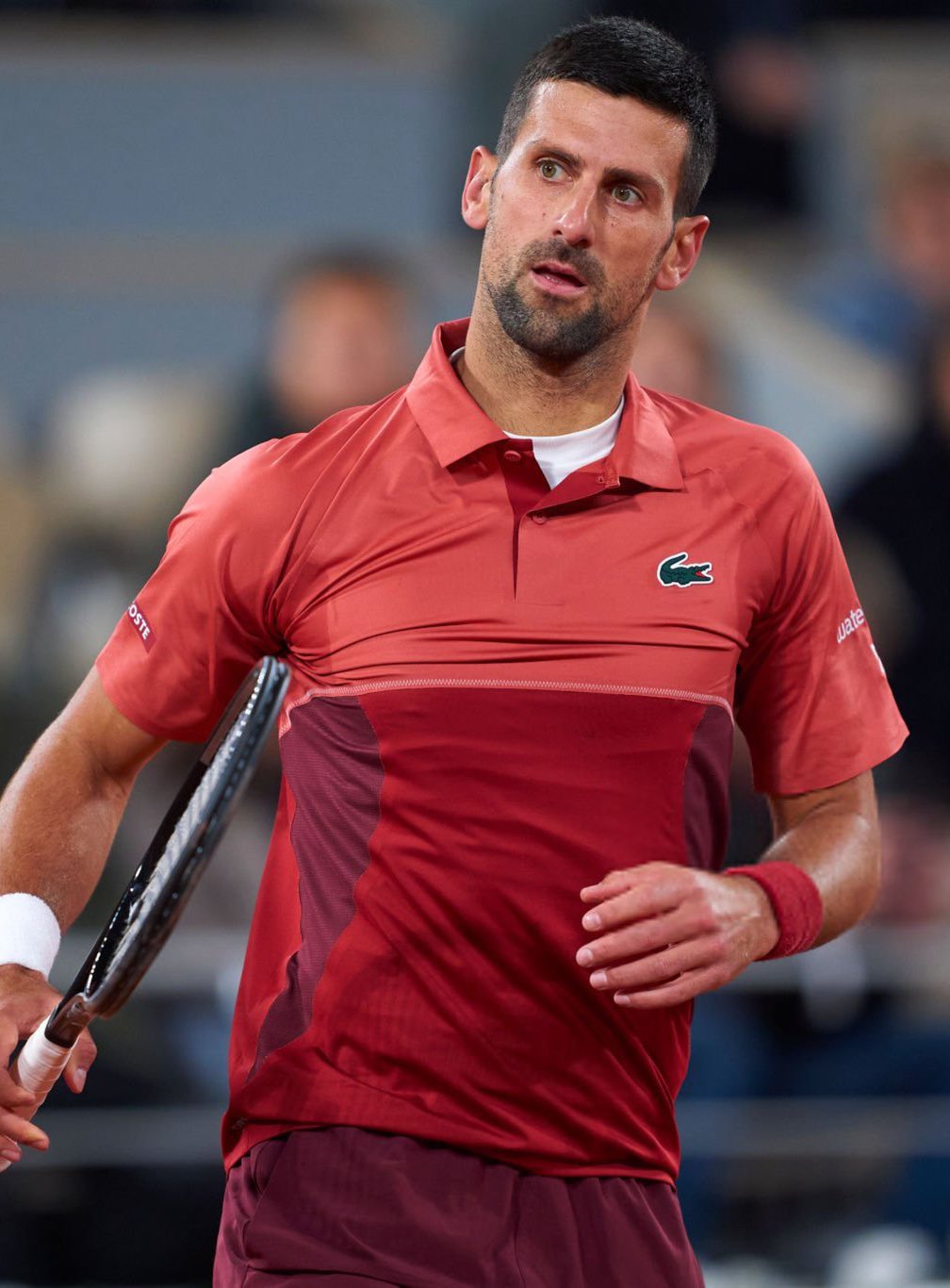 温网轻取美网,德约科维奇刷新纪录的简单介绍 温网轻取美网,德约科维奇刷新纪录的简单介绍