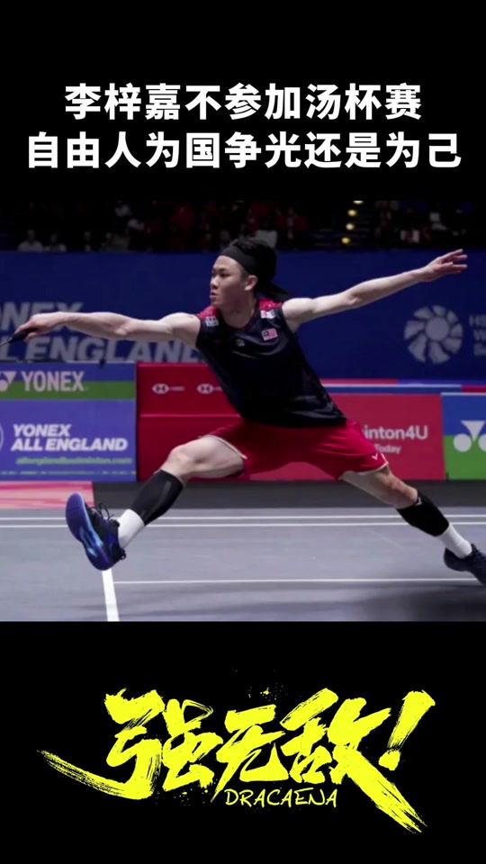 法国队鏖战德国队,李梓嘉惊艳四座的简单介绍 法国队鏖战德国队,李梓嘉惊艳四座的简单介绍