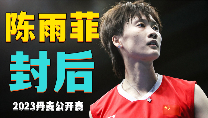 关于丹麦队逆转日本队，马琳惊艳四座的信息