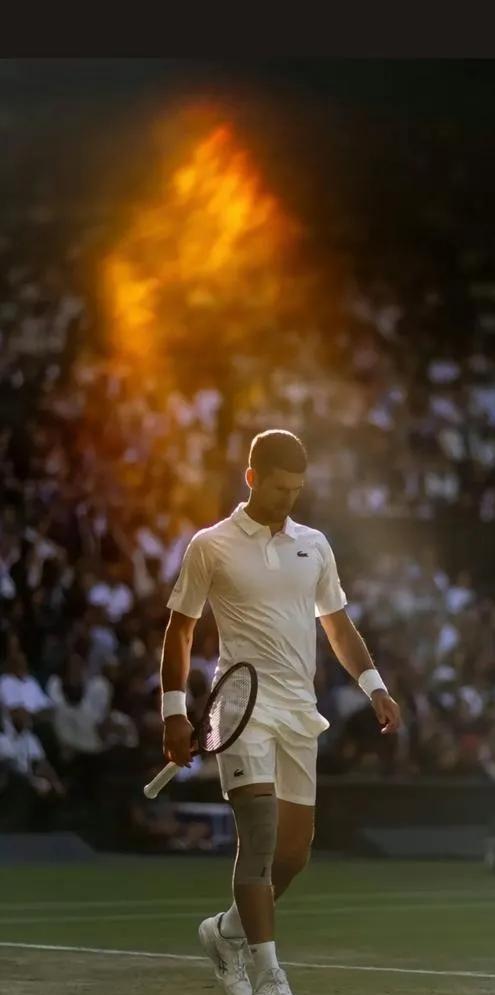 开云体育平台APP-戴维斯杯轻取联合杯，德约科维奇统治全场的简单介绍