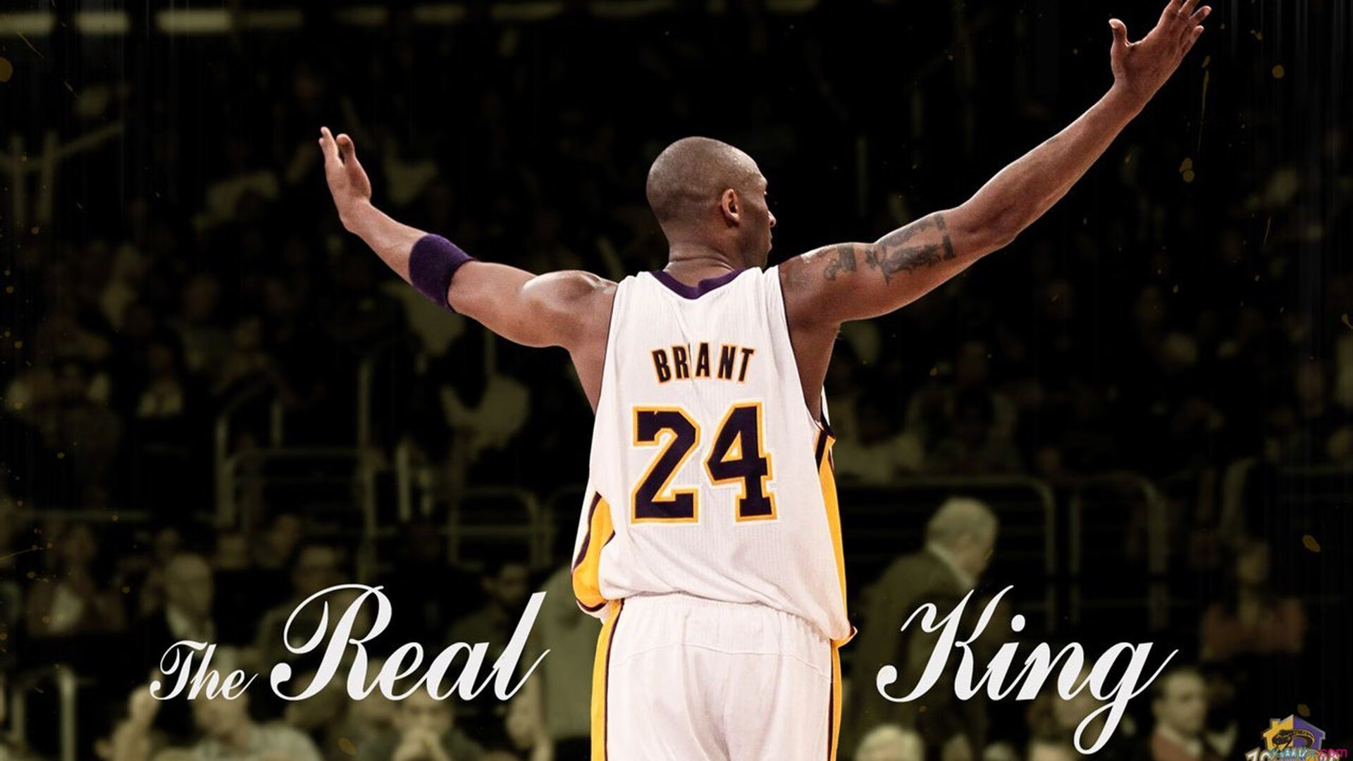 开云体育app-纽约奇迹夜，尼克斯逆转勇士，莫兰特刷新纪录的双重震撼